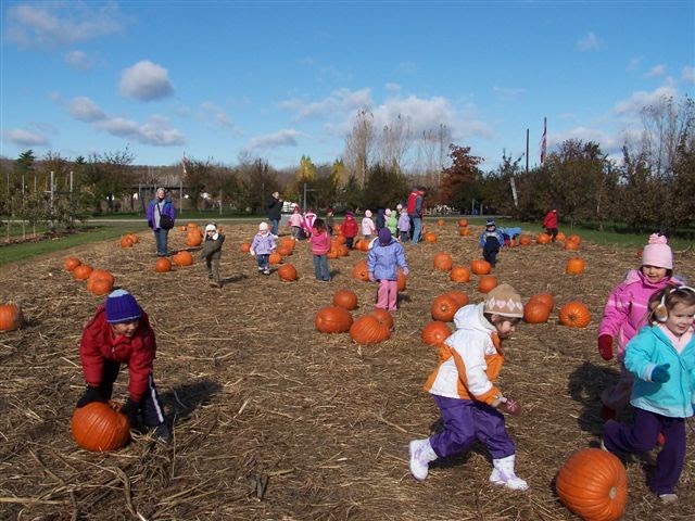 Avalon Childrens Montessori School | 2181 Queen St E, Toronto, ON M4E 1E5, Canada | Phone: (416) 686-6621