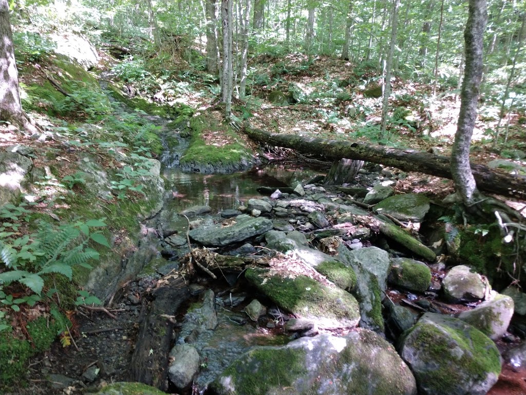 Devils Gulch | Long Trail, Eden, VT 05652, USA