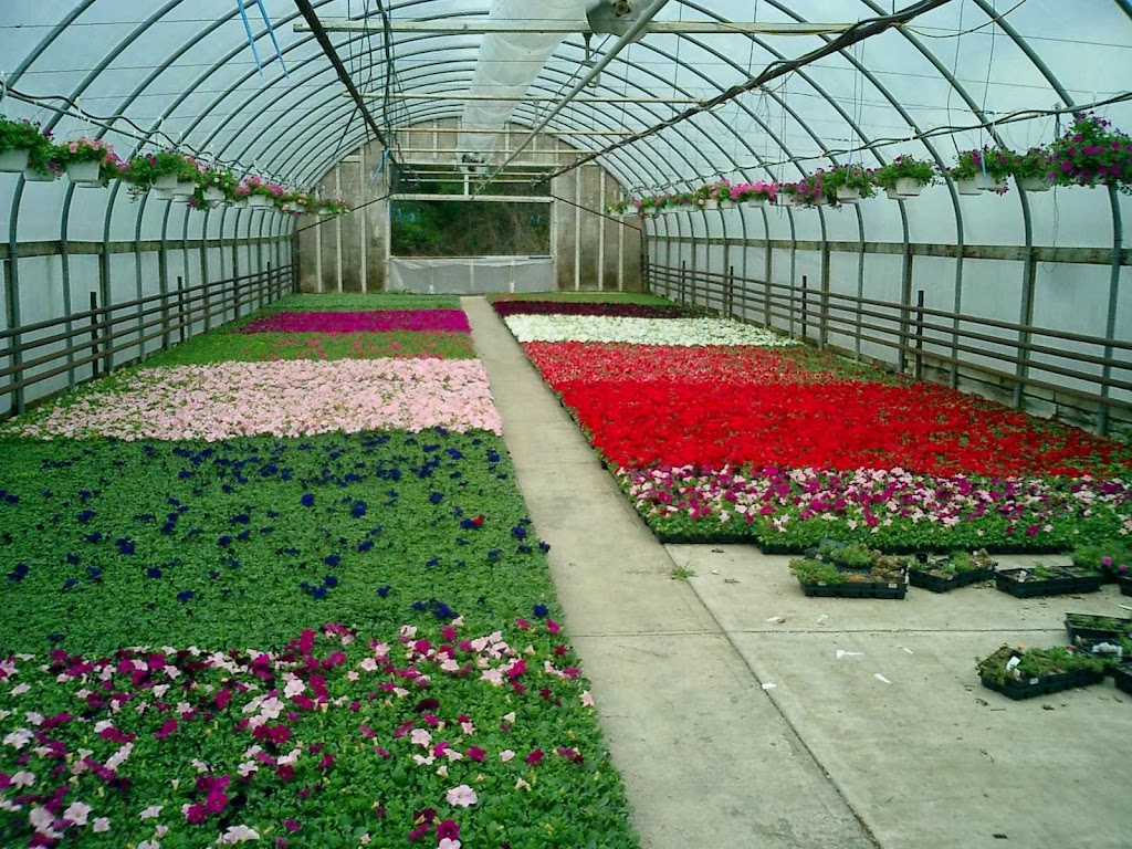 Hilltop Greenhouses Wholesale | 1840 Burnside Rd W, Victoria, BC V9E 1H6, Canada | Phone: (250) 479-3695