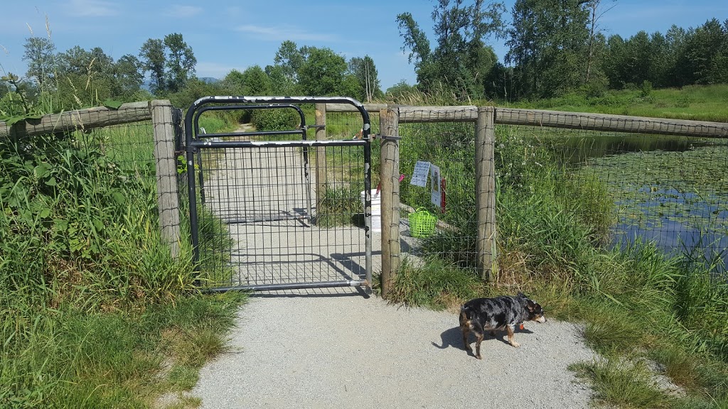 Jerry Sulina Park | Maple Ridge, BC V4R 2R9, Canada