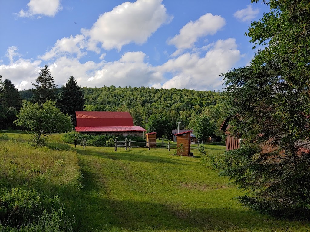 Cabins on the York | 669 S Baptiste Lake Rd, Bancroft, ON K0L 1C0, Canada | Phone: (613) 332-3096