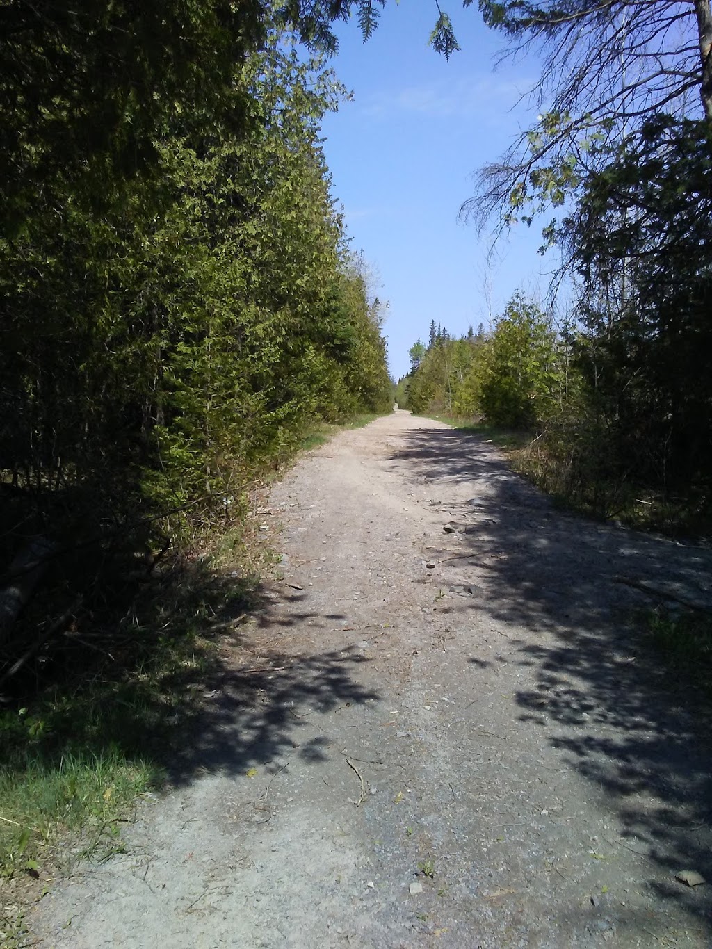 Marlborough Forest Parking - E2 | 3801 Roger Stevens Dr, North Gower, ON K0A 2T0, Canada