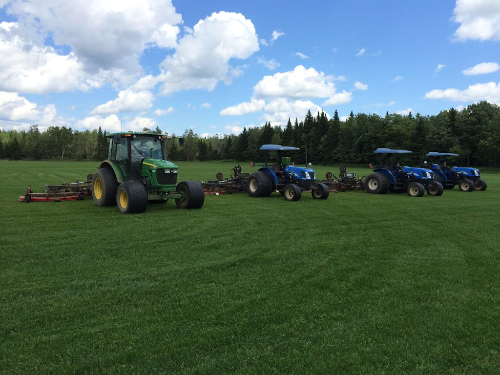 Lawns Richer Boulet Inc | 755 Rue du Marais, Québec, QC G1M 3R7, Canada | Phone: (418) 687-1616