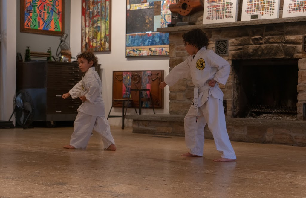 Northern Karate Schools Leslieville/Beaches | 1611 Queen St E, Toronto, ON M4L 1E5, Canada | Phone: (416) 550-7548