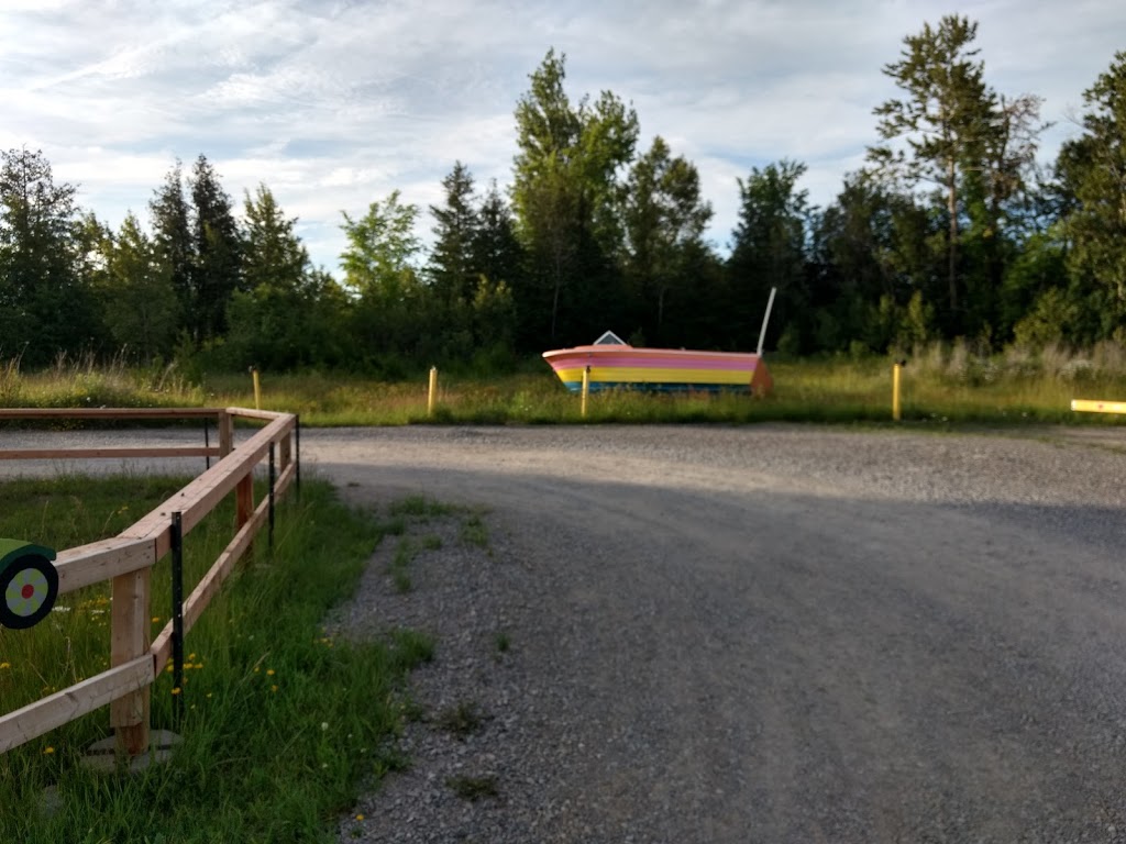 Lindsay Twin Drive-In Theatre | 229 Pigeon Lake Rd, Lindsay, ON K9V 4R6, Canada | Phone: (705) 340-6666