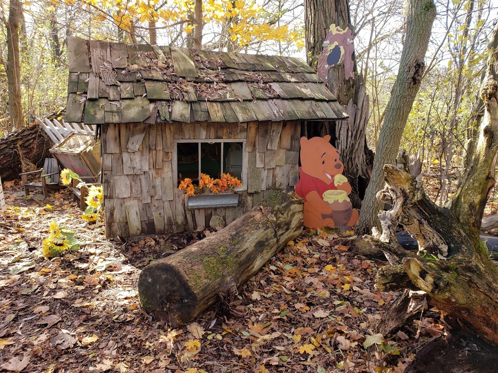 Knoxs Pumpkin Farm | 6325 Enfield Rd, Hampton, ON L0B 1J0, Canada | Phone: (905) 263-2934