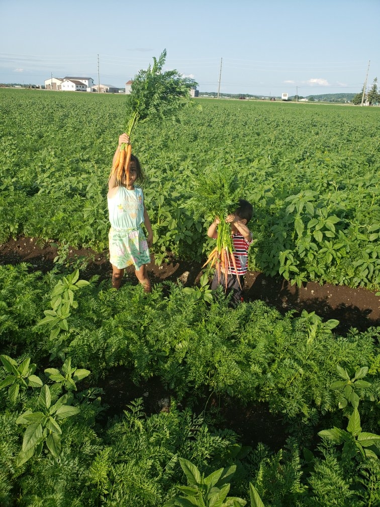 Greenway Advance Produce | 2203 Canal Rd, Bradford, ON L3Z 4E6, Canada | Phone: (905) 775-4567