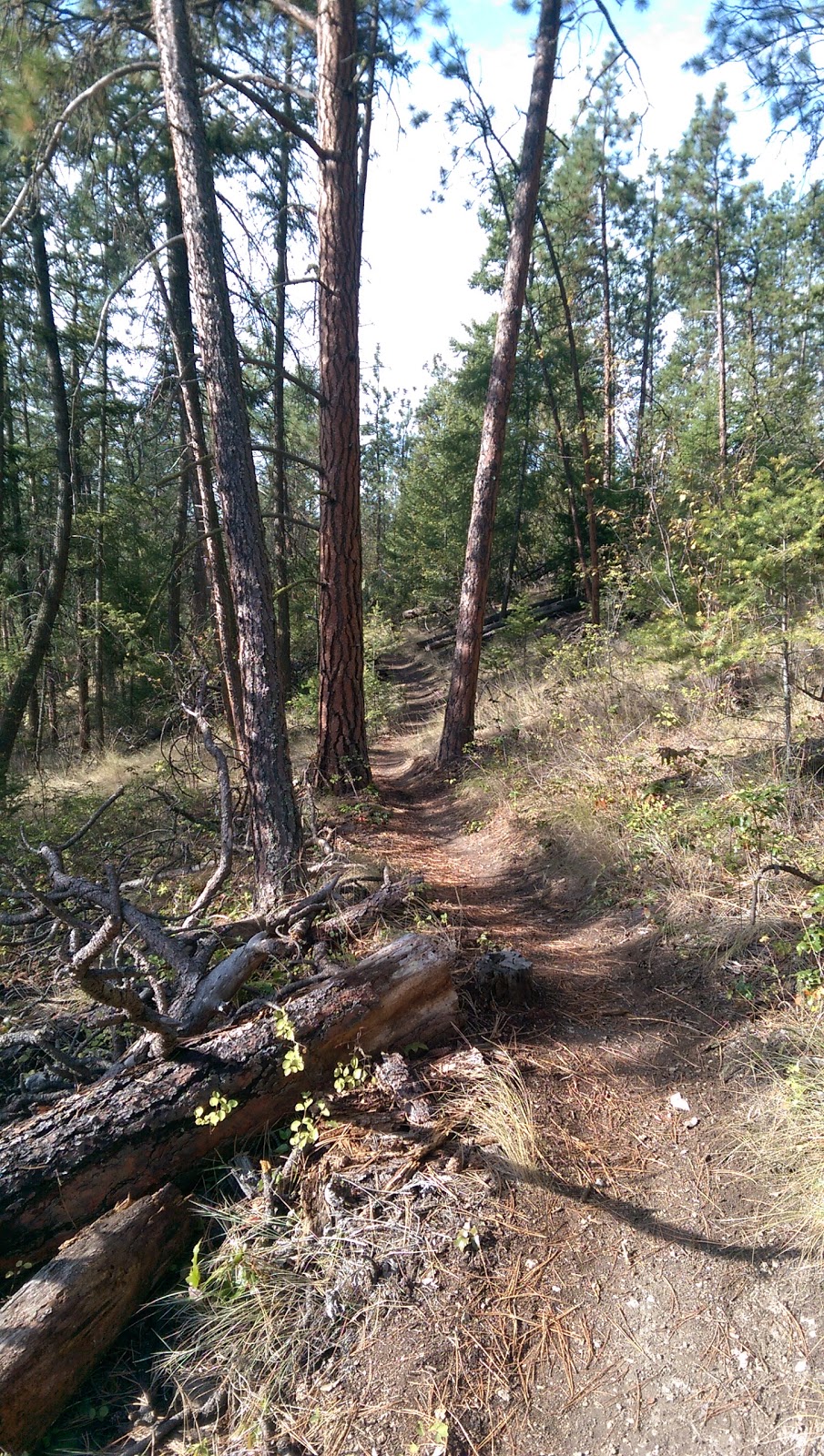 Spion Kop Trail - Pelmewash Trailhead | Pelmewash Pkwy, Lake Country, BC V4V 2H1, Canada