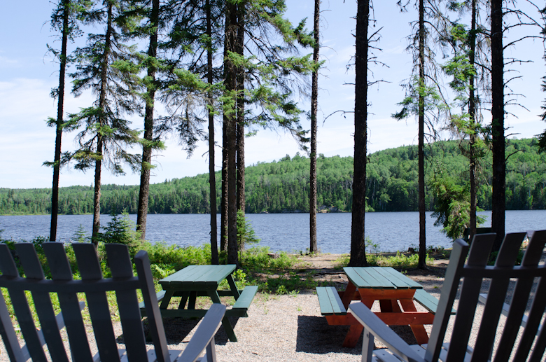 Forest bathing | 1 route Forestière 25 (km 50, La Tuque, QC G9X 3P2, Canada | Phone: (514) 434-4237