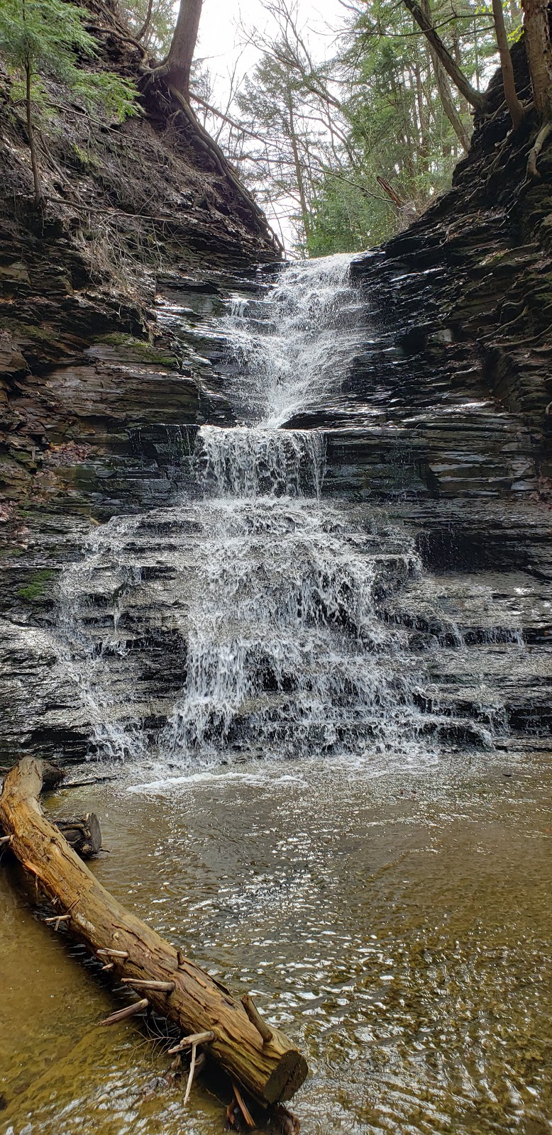 Eternal Flame | Eternal Flame, Orchard Park, NY 14127, USA