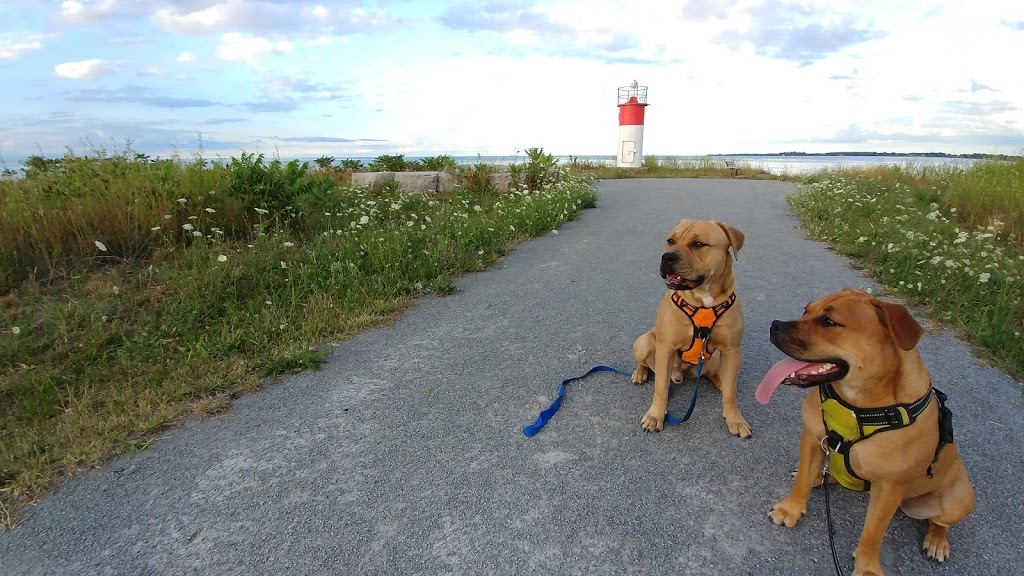 George Nicholson Memorial Trail | George Nicholson Memorial Trail, St. Catharines, ON L2M 7W8, Canada