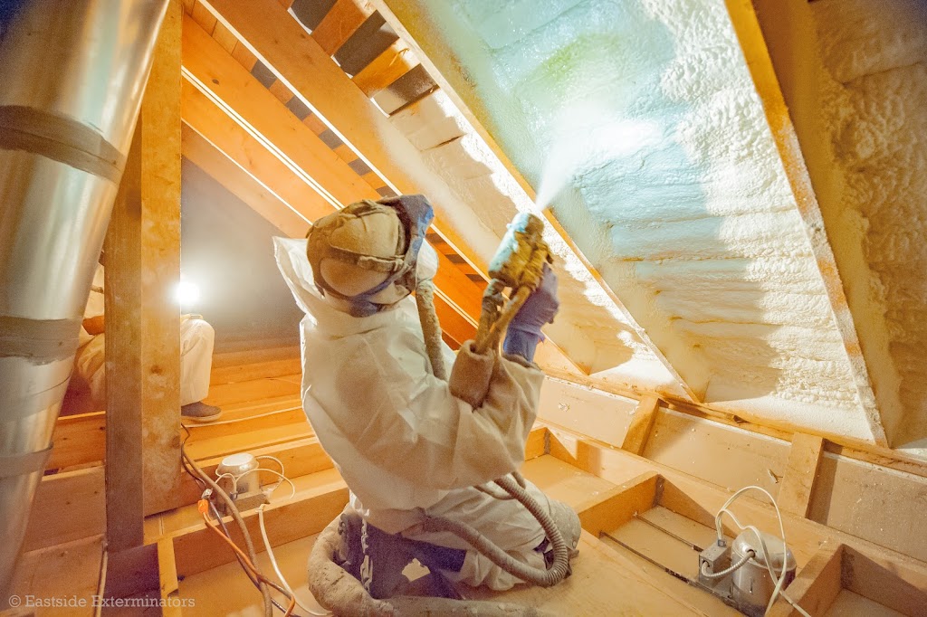 EcoStar Insulation - Spray Foam Professionals | 32 Hardwick Ct, Etobicoke, ON M9C 4G6, Canada | Phone: (647) 799-3106