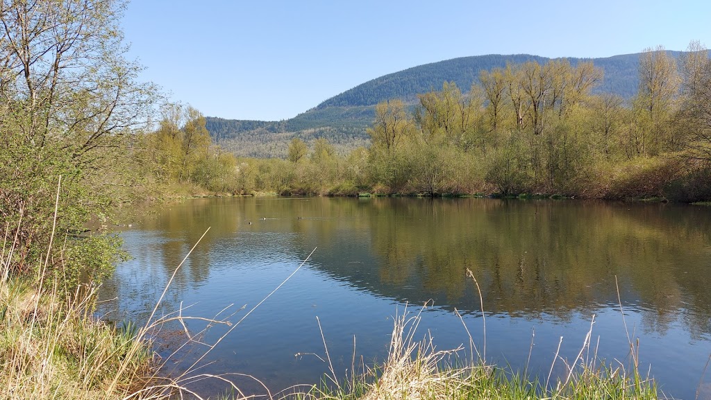 Great Blue Heron Nature Reserve | 5200 Sumas Prairie Rd, Chilliwack, BC V2R 4N7, Canada | Phone: (604) 823-6603