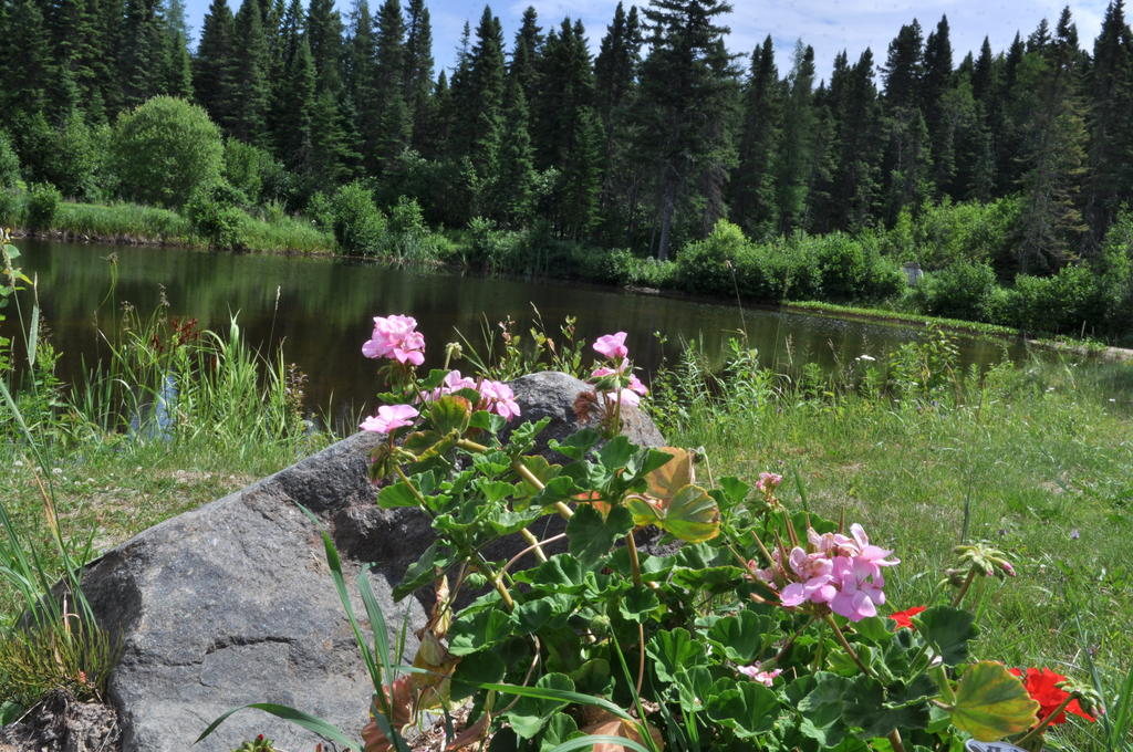 Domaine du Gîte de la Montagne Enchantée - B&B - Maison dhôtes | 227 Rte des Laurentides, Métabetchouan-Lac-à-la-Croix, QC G8G 1N2, Canada | Phone: (418) 482-3582