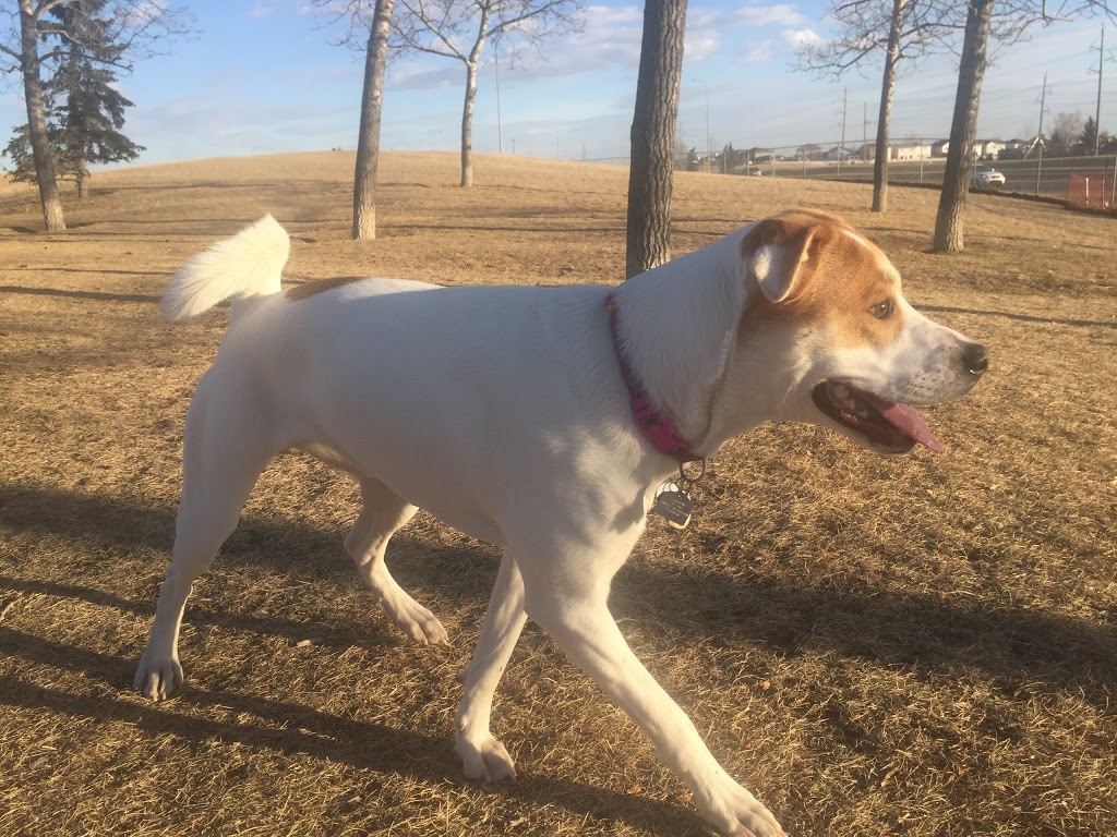 Mcknight/Falconridge Dog Park | 111 Falwood Way NE, Calgary, AB T3J 1A8, Canada