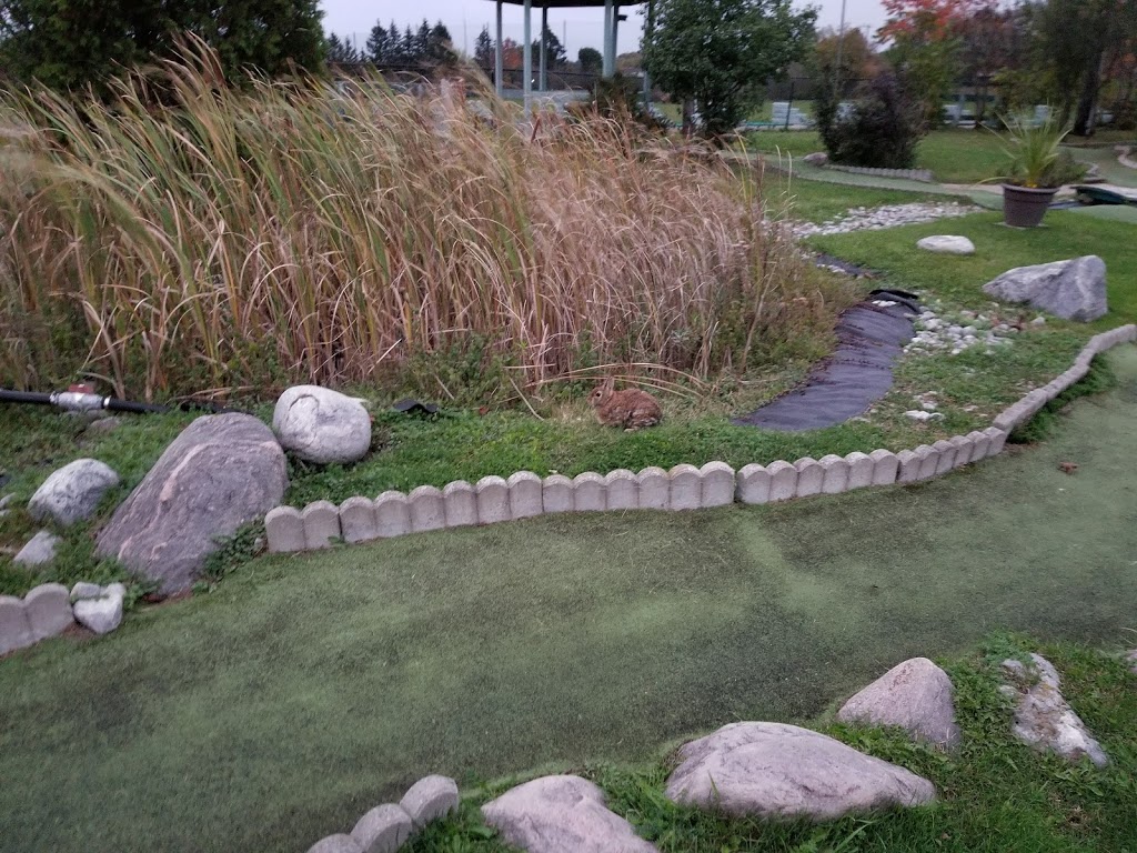 Harmony Creek Golf Centre Ltd | 1000 Bloor St E, Oshawa, ON L1H 8S1, Canada | Phone: (905) 433-0211