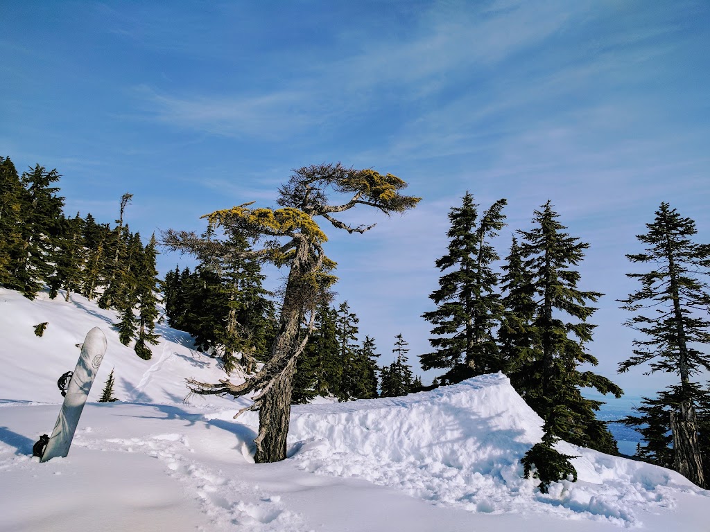 Cypress Peak | Greater Vancouver A, BC V0N 2E0, Canada | Phone: (604) 582-5200