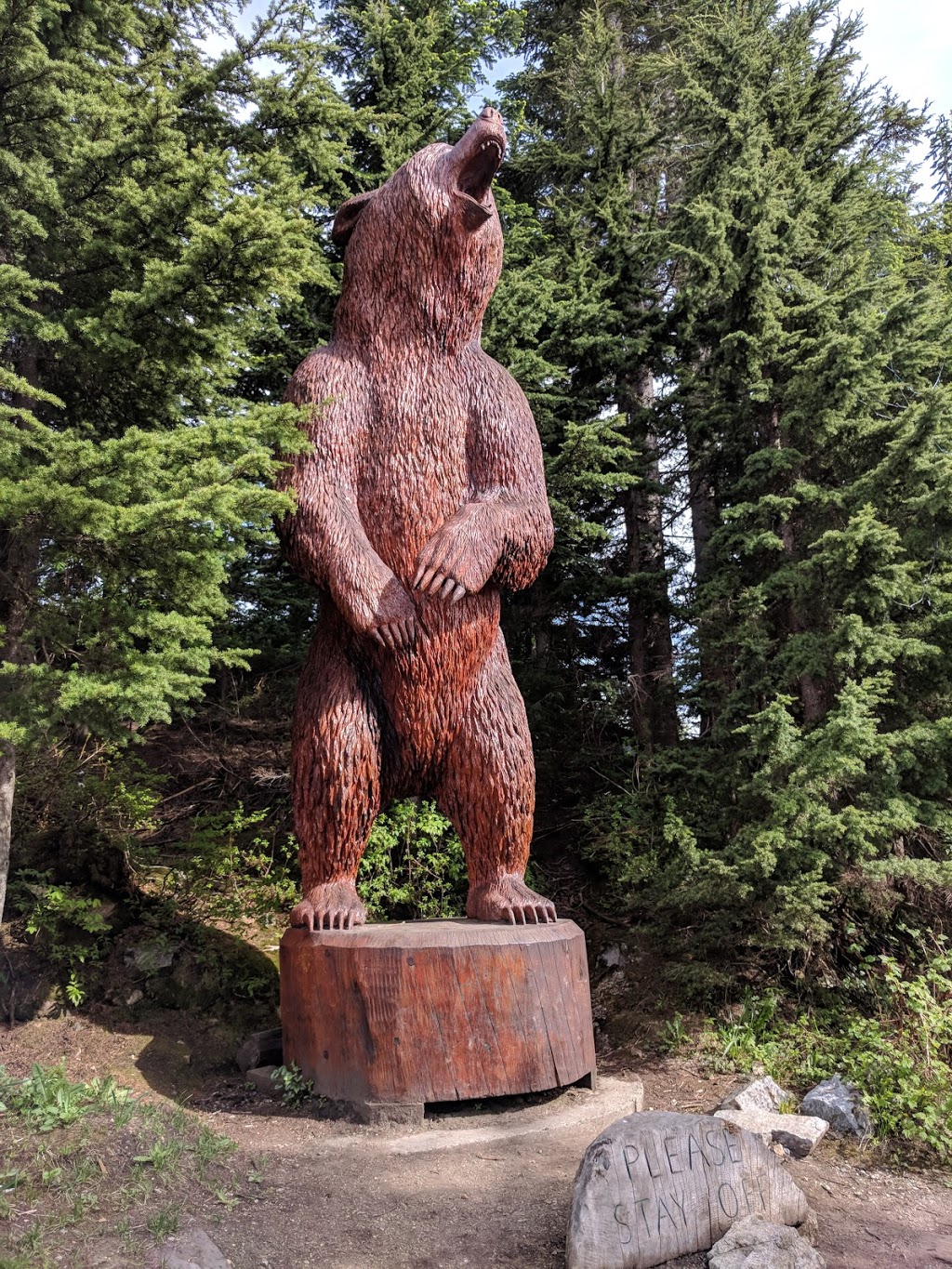 Grouse Mountain Grizzly Bear Habitat | North Vancouver, BC V7R, Canada | Phone: (604) 980-9311