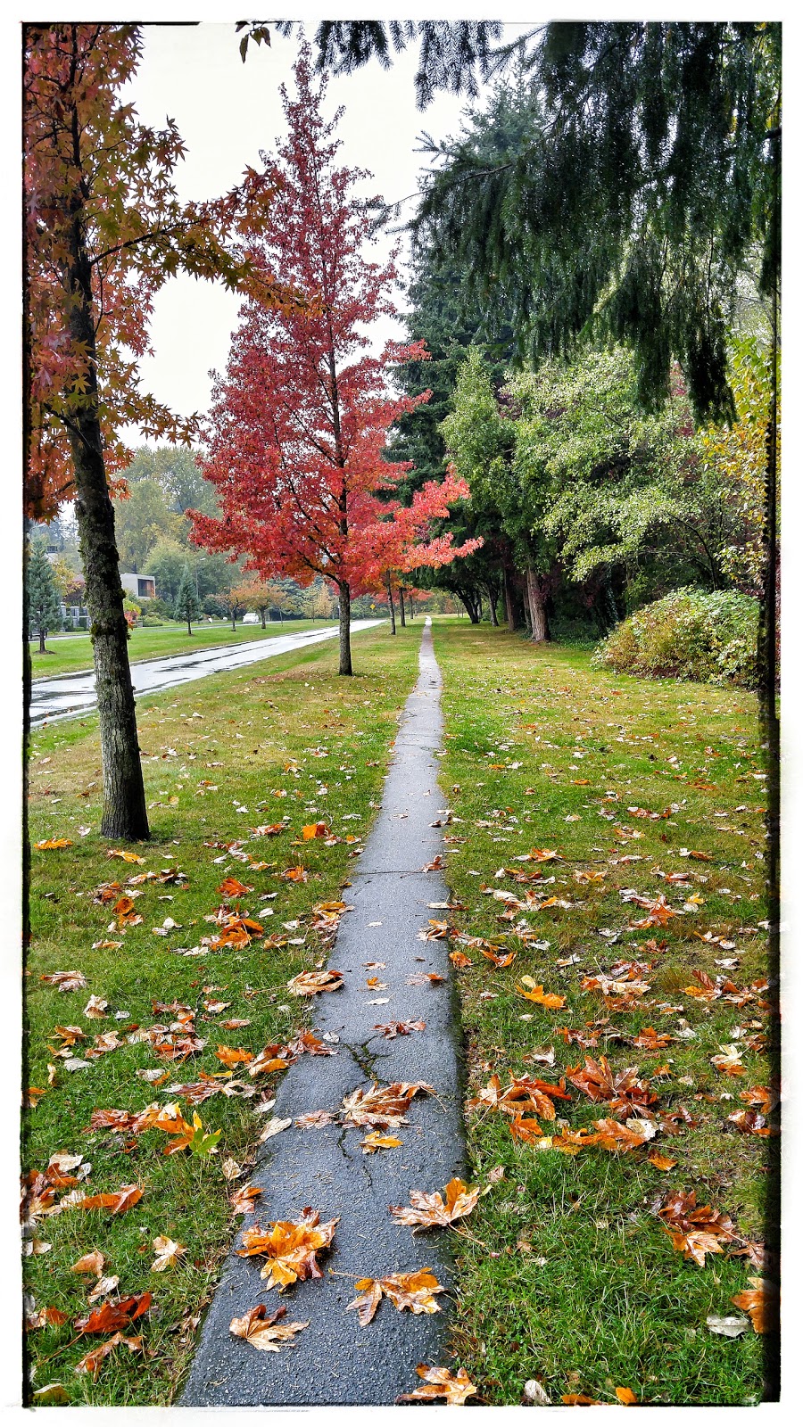 Ubc Endowment Lands Ecological Reserve | Greater Vancouver A, BC V6S, Canada