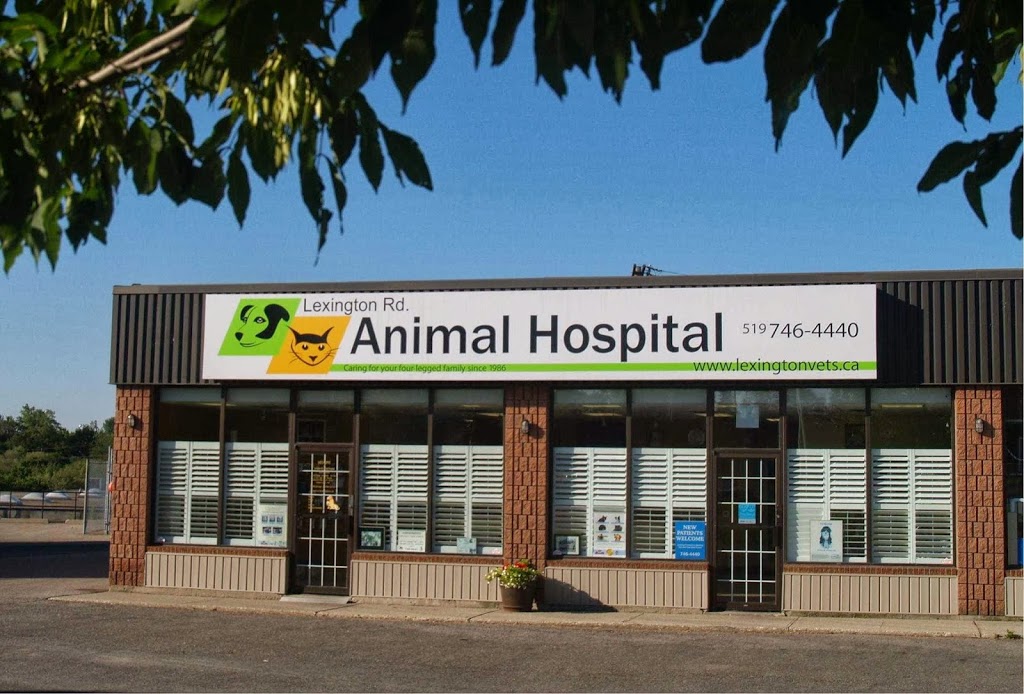 VCA Canada Lexington Rd. Animal Hospital | 135 Lexington Ct, Waterloo, ON N2J 4R1, Canada | Phone: (519) 746-4440