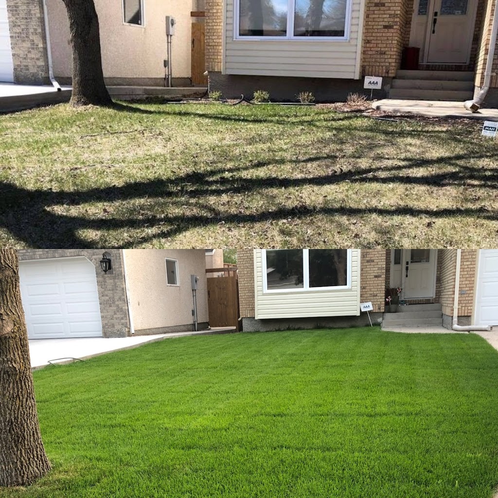 AAA Lawncare | 572 Island Shore Blvd, Winnipeg, MB R3X 2E3, Canada | Phone: (204) 782-5425