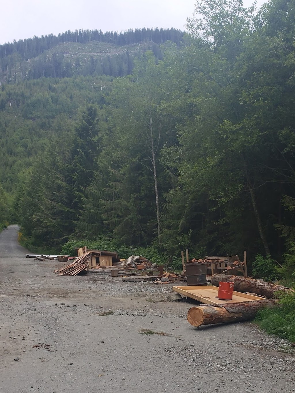 Fairy Creek Blockade HQ | Pacific Marine Rd, Port Renfrew, BC V0S 1K0, Canada | Phone: (250) 387-1715