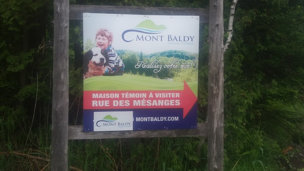 Projet domiciliaire Mont Baldy | 2530 CH Mont Sauvage, Sainte-Adèle, QC J8B 2E3, Canada | Phone: (450) 602-6719