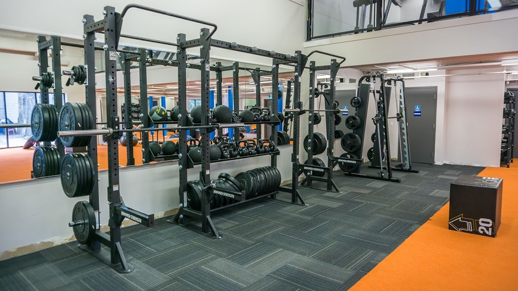 Hone Fitness Pape & Danforth | 603 Danforth Ave, Toronto, ON M4K 1R2, Canada | Phone: (416) 238-2204