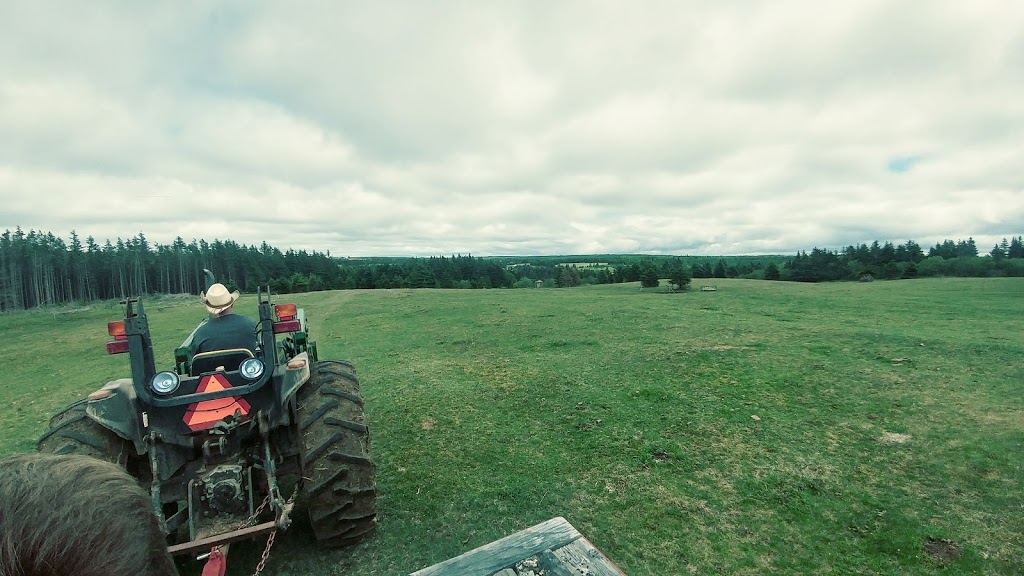 Sullivans Family Farm | 161 Sullivan Rd, Nuttby, NS B6L 6T5, Canada | Phone: (902) 890-0415