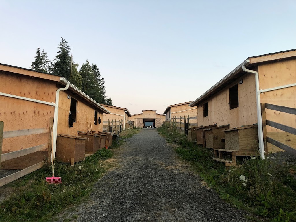 Emerald Acres Horse Boarding | 2517 Alberni Hwy, Coombs, BC V0R 1M0, Canada | Phone: (250) 228-8387