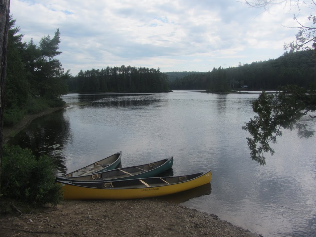 The Boundless School | 7513 River Road RR #1, Palmer Rapids, ON K0J 2E0, Canada | Phone: (416) 951-7059