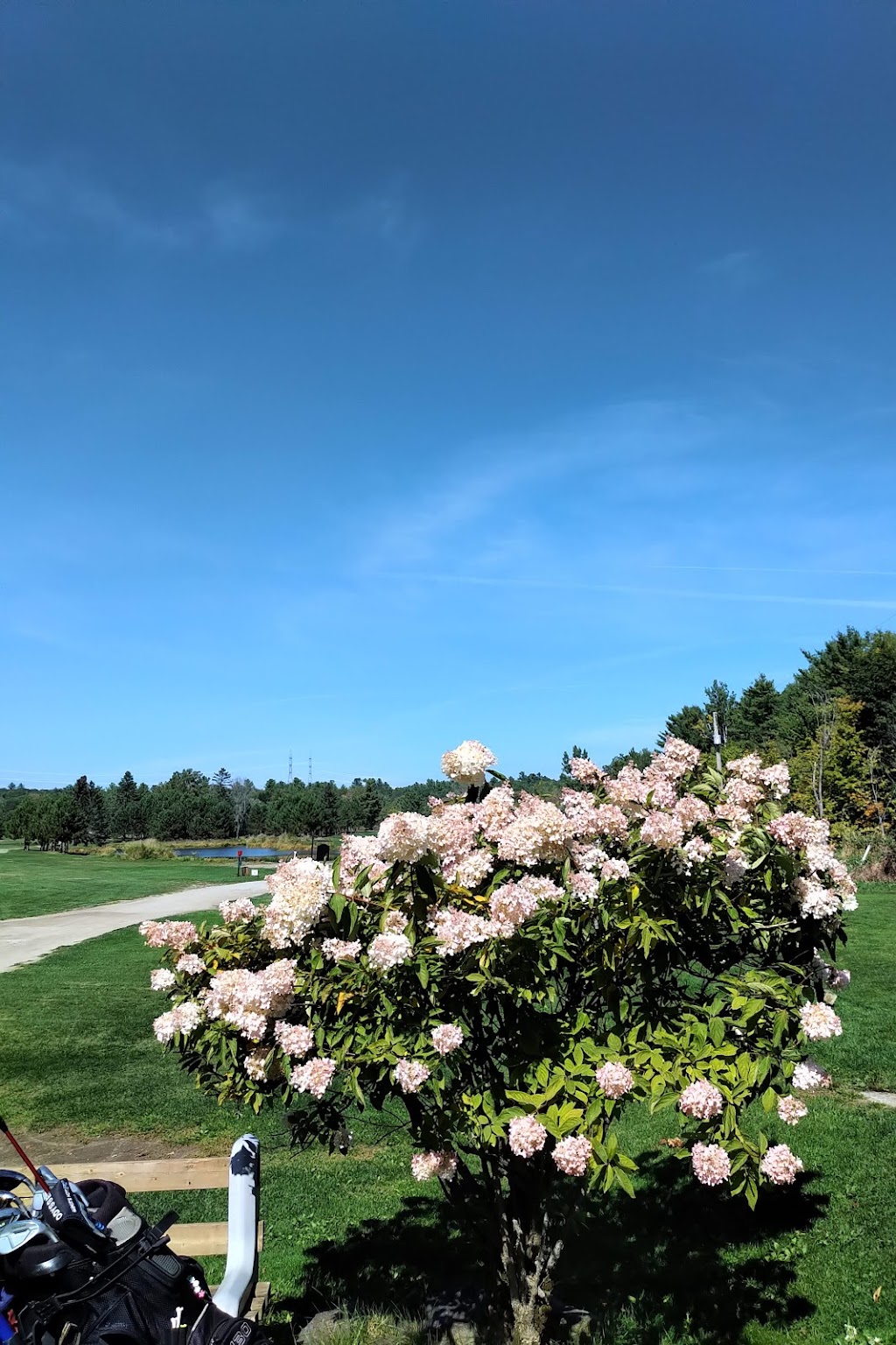 Thurso Golf Club | 15 Mnt Ranger, Thurso, QC J0X 3B0, Canada | Phone: (819) 985-2315