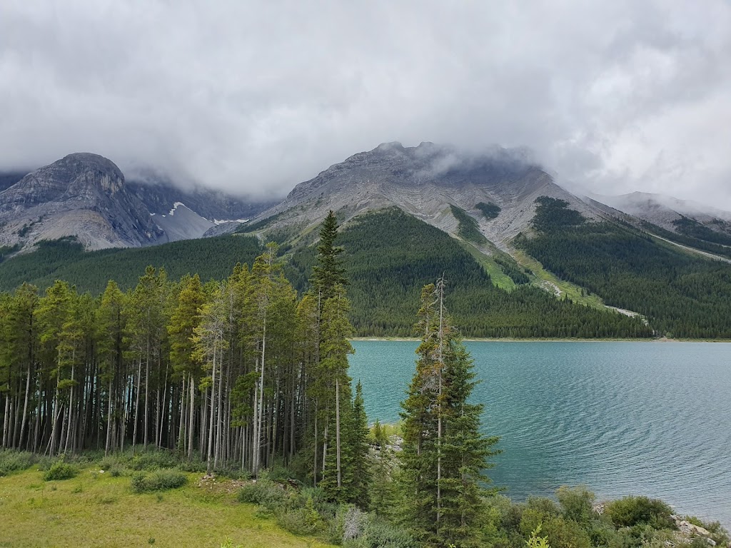 Sparrowhawk Day Use Area | Kananaskis, AB T0L 2C0, Canada | Phone: (866) 427-3582