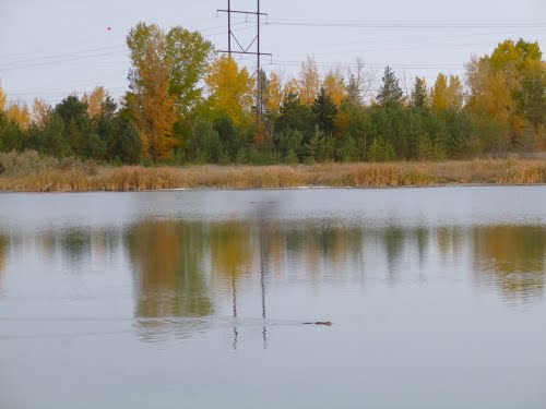 Chappel Marsh Conservation Area | Saskatoon, SK S0K 1V0, Canada | Phone: (866) 254-3825