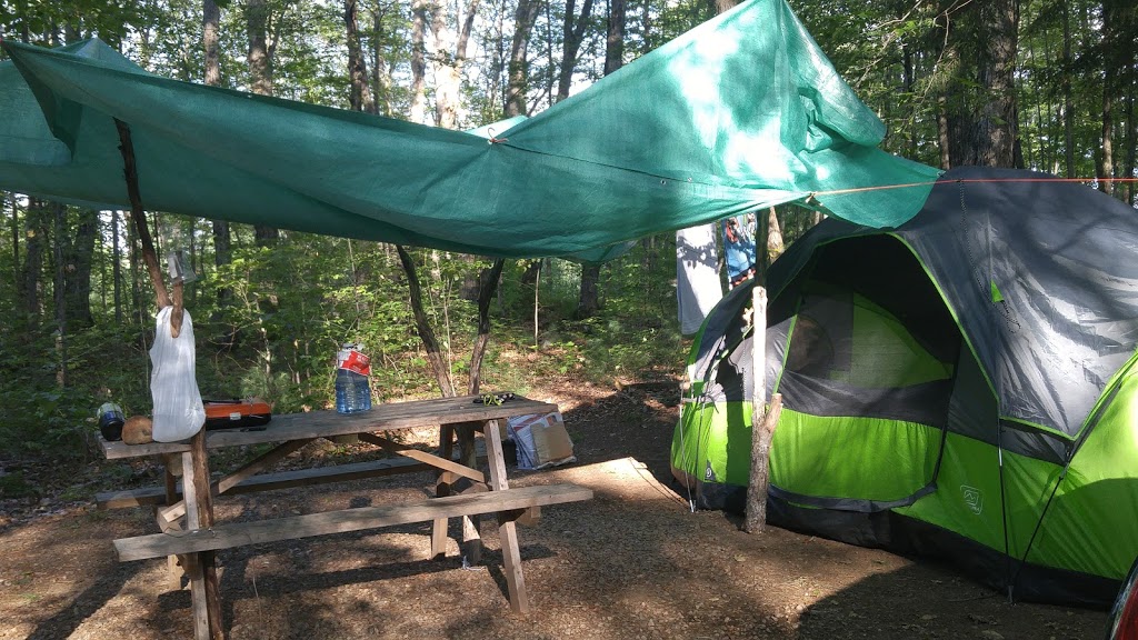 Loons Call Campground | 1177 Marble Lake Rd, Cloyne, ON K0H 1K0, Canada | Phone: (613) 336-2625