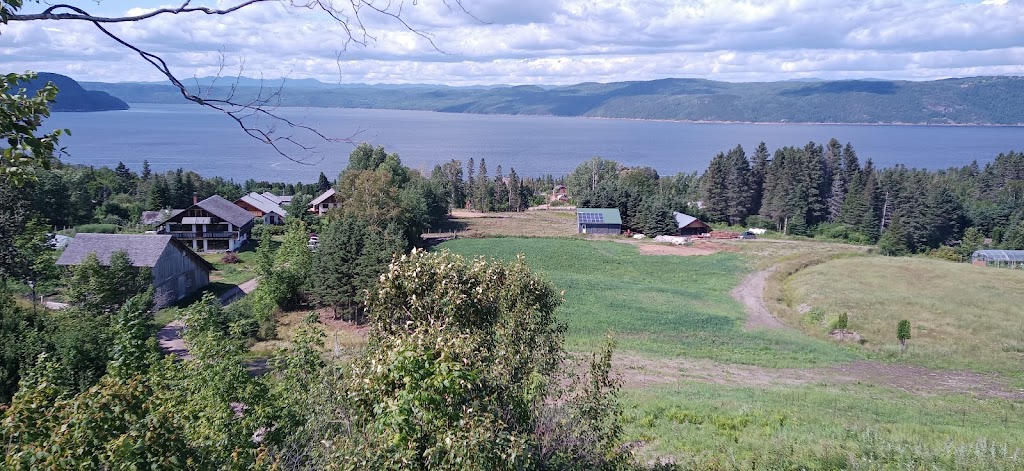 Groupe de recherches écologiques de La Baie | 2952 Sent. du Petit-Patelin, La Baie, QC G7B 3P6, Canada | Phone: (418) 544-9113