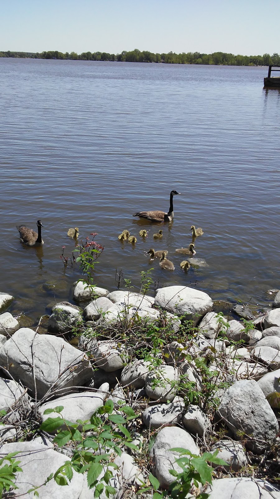 Parc Esther-Blondin | Rue Sainte Marguerite, Vaudreuil-Dorion, QC J7V 0H4, Canada