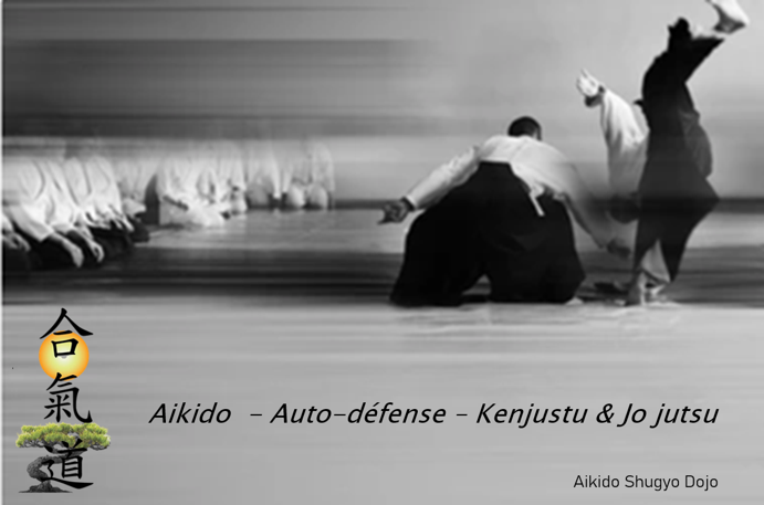 School Martial Arts Aikido Shugyo Dojo | 196 Rue Notre Dame, Gatineau, QC J8P 5B9, Canada | Phone: (450) 517-8331