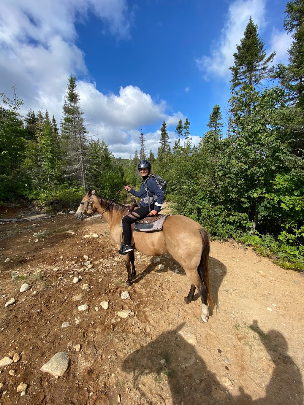 Ranch Le Soleil Le Vent | 243 route 172 Nord, Sacré-Coeur, QC G0T 1Y0, Canada | Phone: (418) 236-4853