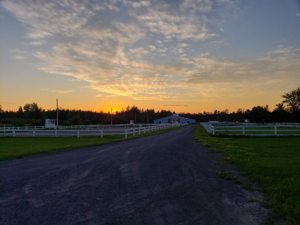 Les Écuries Breton | 1487 Chem. Bélair O, Saint-Jean-Chrysostome, QC G6Z 2L2, Canada | Phone: (581) 305-2340