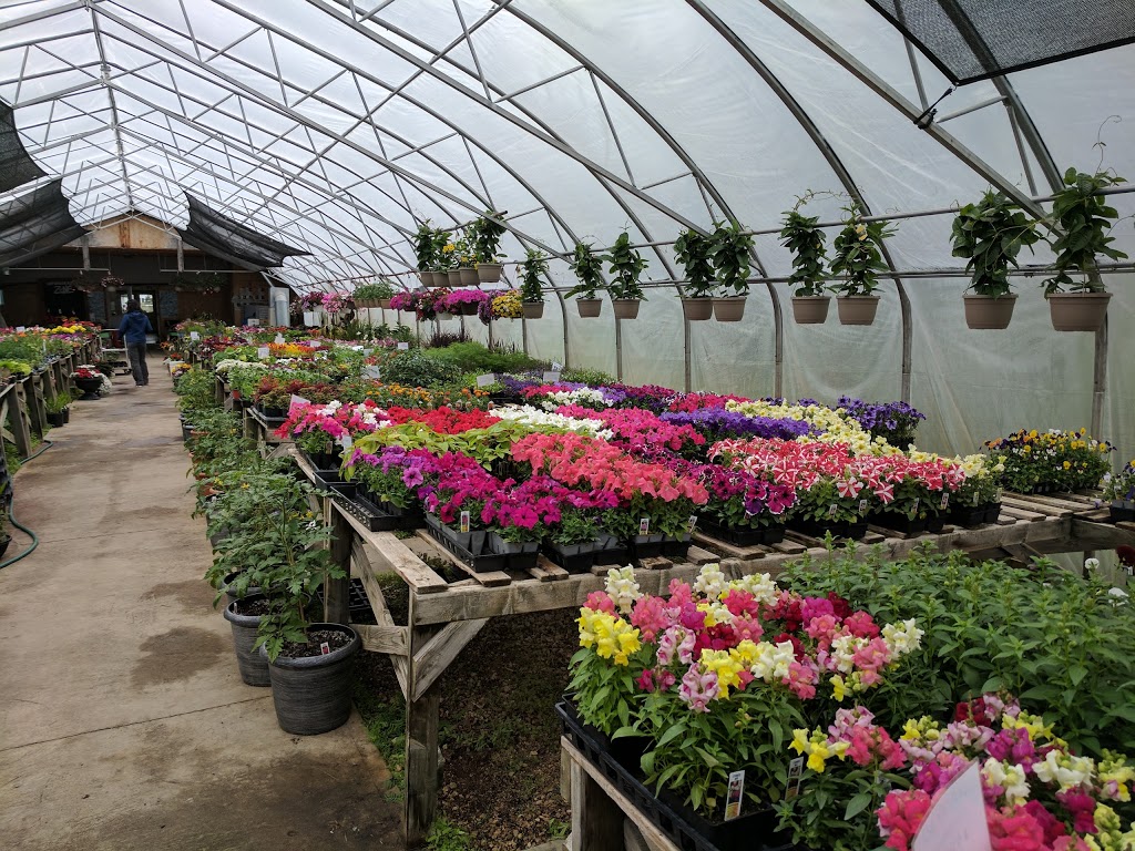 J & H Garden Centre | 6950 Roblin Blvd, Headingley, MB R4H 1B4, Canada | Phone: (204) 895-1116