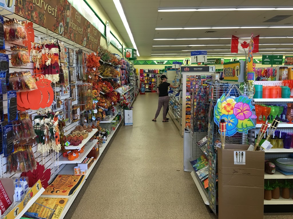 Dollar Tree | 1097 Nicola Ave #120, Port Coquitlam, BC V3B 8B2, Canada | Phone: (604) 942-7555