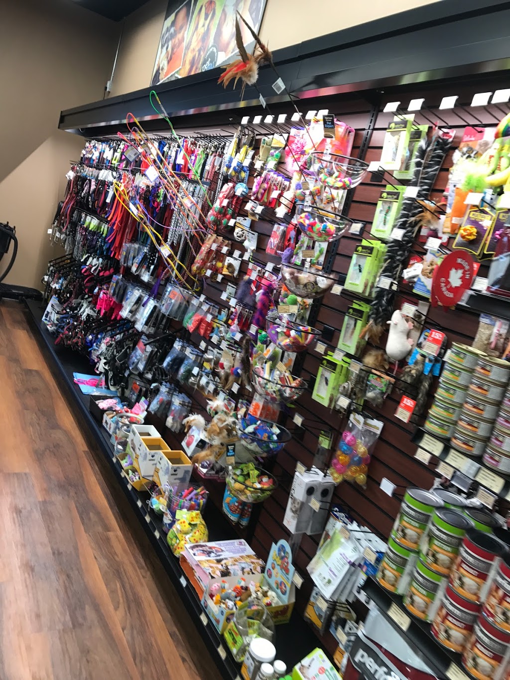 Pet Valu | 4303 50 St #8, Innisfail, AB T4G 1B6, Canada | Phone: (403) 227-8850