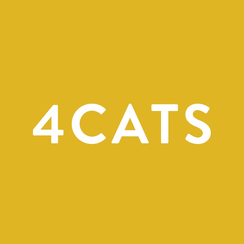 4Cats Arts Studio (Meadowvale) | 6981 Millcreek Dr #11, Mississauga, ON L5N 6B8, Canada | Phone: (905) 812-4000