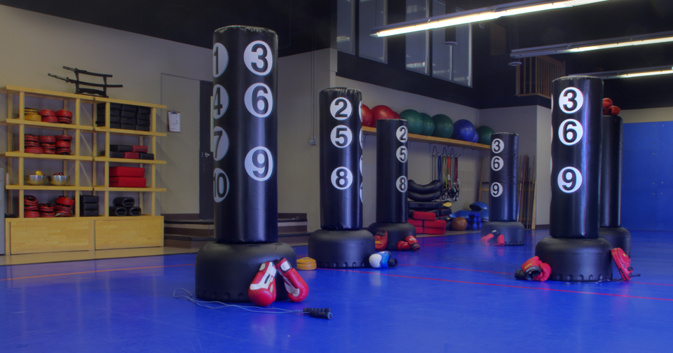 Canadian Sport Martial Arts Academy - CSMA | 59 Iber Rd, Stittsville, ON K2S 1E7, Canada | Phone: (613) 831-8085