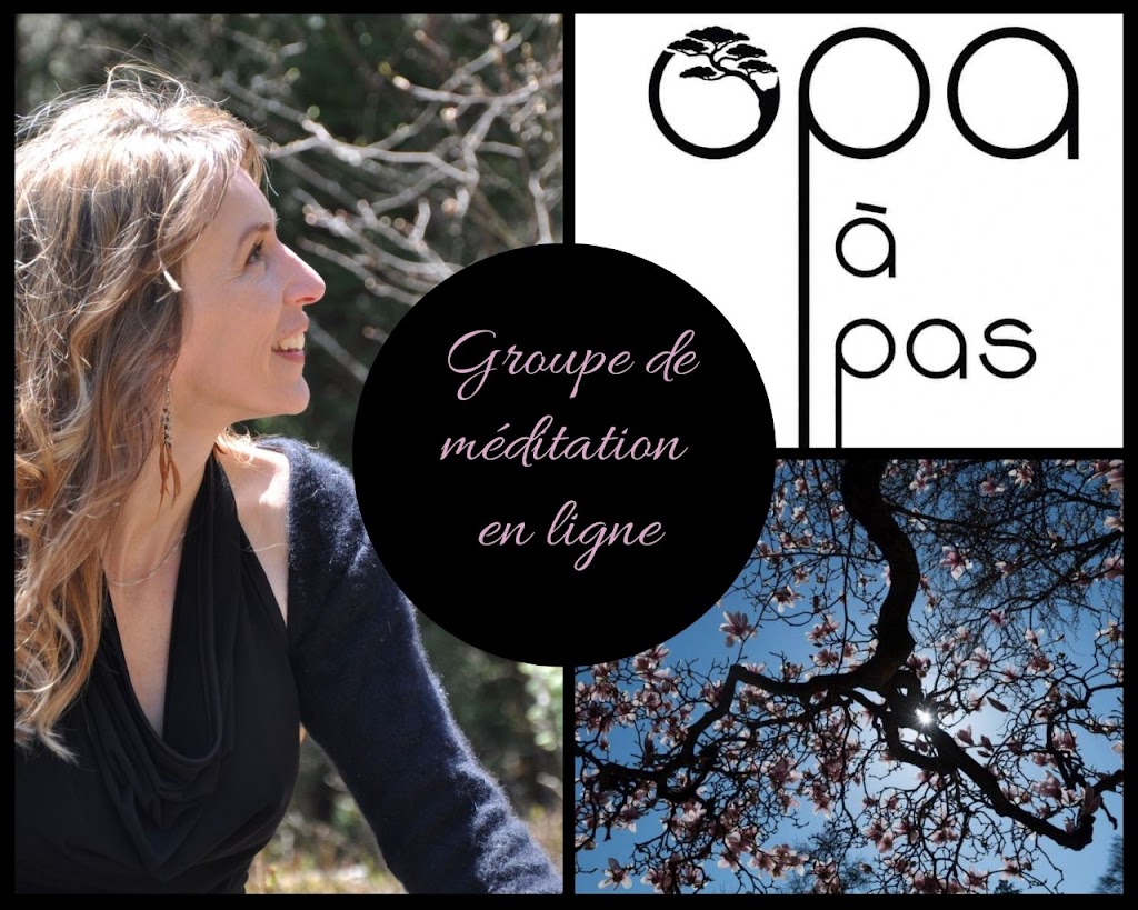 Shanti Yoga O.p.a À Pas Meditation | 19 Rue Valin, Saguenay, QC G0V 1S0, Canada | Phone: (418) 956-3474