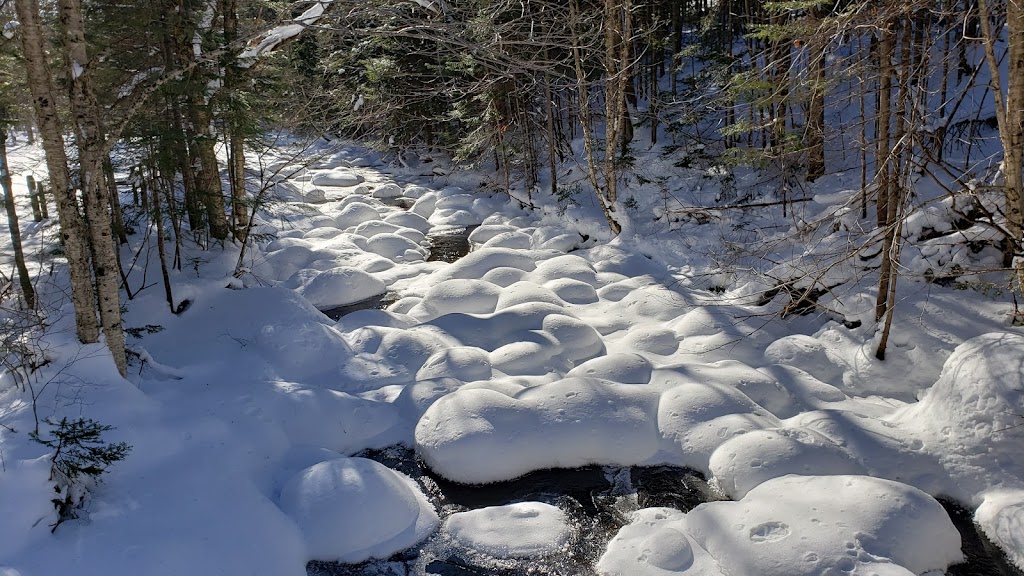 La Fondation Cité Joie | 28 Chem. des Cascades, Lac-Beauport, QC G3B 1C6, Canada | Phone: (418) 849-7183