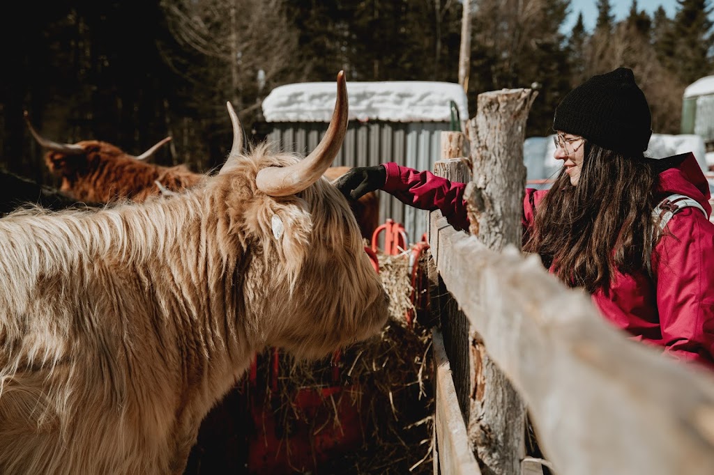 La ferme mille fleurs | 929 rang 9, Saint-Lazare-de-Bellechasse, QC G0R 3J0, Canada | Phone: (418) 882-7401