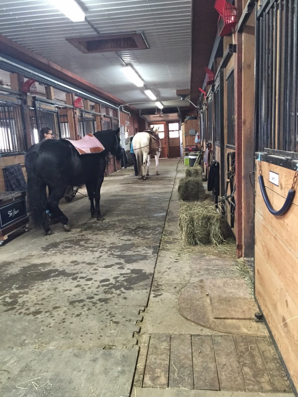 Center Equestrian La Misenselle | 325 Chemin du Ruisseau-des-Noyers, Saint-Jean-sur-Richelieu, QC J2Y 1J2, Canada | Phone: (450) 347-0172