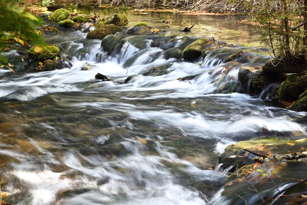 Sulphur Spring Conservation Area | 261123 Grey Rd 28, Hanover, ON N4N 3B8, Canada | Phone: (519) 367-3040